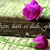 Esther Herrmann543 - @estherherrmann543 - TikTok