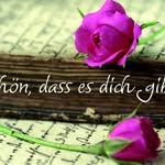 Esther Herrmann - @herrmann3089 - Instagram