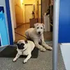 Holly - @estherherrmann5 - TikTok