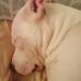 Esther Hill - Facebook