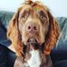 Esther House - Facebook