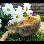 Esther Jett - @esthers_exotics2025 - Instagram