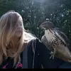 estherchancejett - @estherchancejett - TikTok