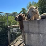 Esther Koch - @meilo1011 - Instagram