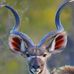 Esther Koch - Facebook
