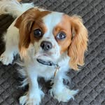 Esther Korner - @milliegirl229 - Instagram