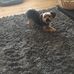 Esther Laverty - Facebook