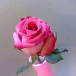 Esther Laporta - Facebook