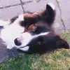 esther.leitner - @esther.leitner - TikTok