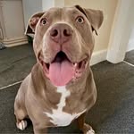 Esther Linn - @estherlinn43 - Instagram