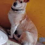 Esther Loyda - Facebook