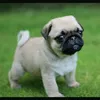 Esthermarkos - @esthermarkos_g20k - TikTok