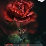 Esther Mathieu - @avivlove2024 - Instagram