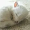 esthermay - @esthermay77 - TikTok