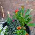 Esther Lorraine Mayfield - Facebook