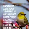 Esther Mazorriaga - @esthermazorriaga - TikTok