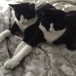 Esther McLaughlin - Facebook