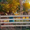 Esther Meneses - @menesesesther3 - TikTok