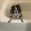 Esther - @esthermuellerr - TikTok
