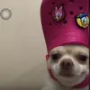 northbackup - @esthernorthbp2 - TikTok