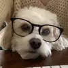 Esther O'Donnell - @ereynaod - TikTok