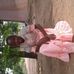Ester Paschal - Facebook
