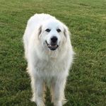 Esther Perry - @fromthefarmstore - Instagram
