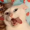 Esther - @estherphillip482 - TikTok