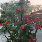 Esther Picazo - Facebook