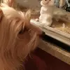 Esther Bermejo Pico - @estherbermejopico - TikTok
