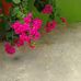 Esther Plata - Facebook