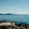 EstherProctor - @estherproctor8 - TikTok