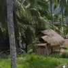 Ester Quilang - @ester.quilang4 - TikTok