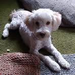 Esther Rettig - Facebook