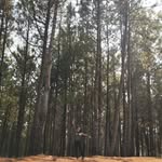 Esther Roa - @estherroa01 - Instagram