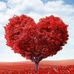 Esther Rodgers - Facebook