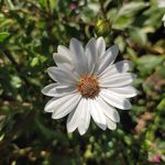Esther Rodgers - @mamasgreenpurse - Instagram