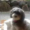 Esther Root - @esther.root - TikTok