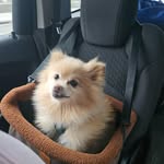Esther Senft - @esthersenft - Instagram