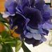 Essie Chapman - Facebook