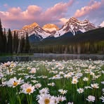Esther Simmons - Facebook