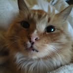 Esther Squires - Facebook