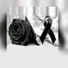 Esther Steinert - @esther.steinert - TikTok