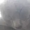 estheryayacastill - @estheryayacastill - TikTok
