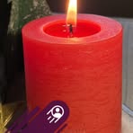 Esther Straub-Bammerlin - Facebook