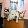 Esther y Edson _ Yuli y Stuart - @e_edsonyuli_stuart - TikTok