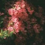 汤静 - @esther__tang - Instagram