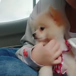Esther Tang - @esthertanghuijiun - Instagram