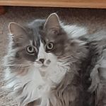 Esther Toth - @esthertoth555 - Instagram