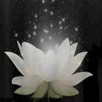 Esther Tran - Facebook